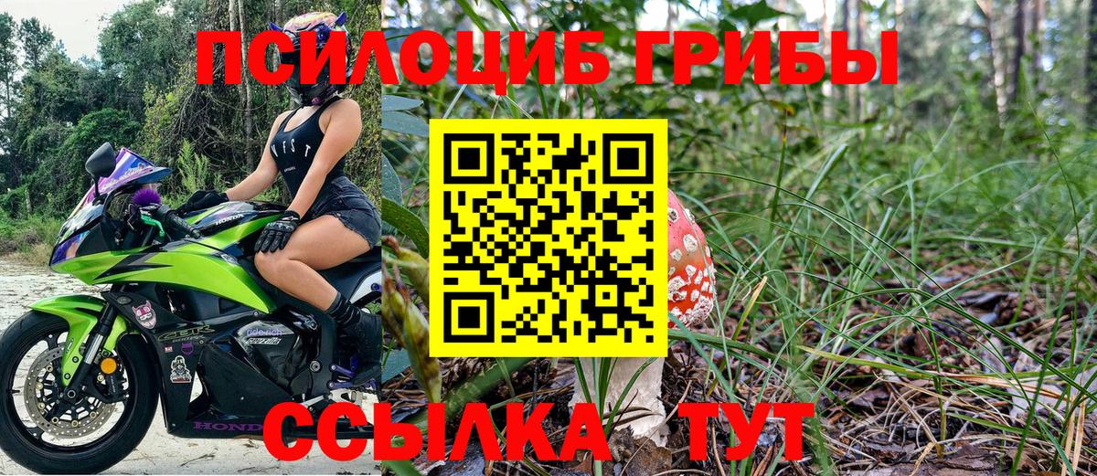 Галлюциногенные грибы прущие грибы Мытищи