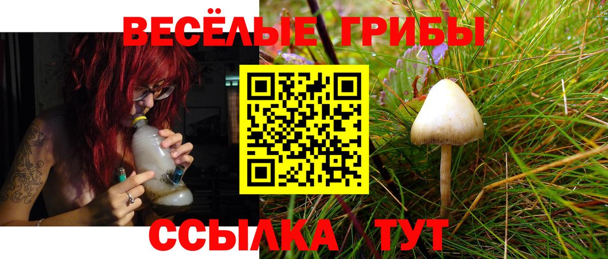 Галлюциногенные грибы Magic Shrooms  Вход с VPN  Мытищи 